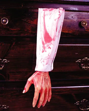 Abgetrennter Blutiger Arm 4 Abgetrennter Blutiger Arm - Image 2