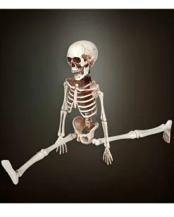 Bewegliches Skelett Gerippe 40cm -Karneval Universe Geschaft bewegliches skelett 40cm posable skeleton 40cm halloween deko skelett deko 52010 03
