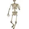 Lebensgroßes Skelett Biegsam 1 Lebensgroßes Skelett Biegsam -Karneval Universe Geschaft biegsames skelett lebensgross halloween deko posaable skeleton life size 27430