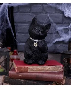 Freche Katze Zeigt Mittelfinger 16,5cm 15 Freche Katze Zeigt Mittelfinger 16,5cm -Karneval Universe Geschaft cattitude katze zeigt mittelfinger cattitude cat showing middle finger gothic deko geschenkartikel 53939 7