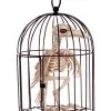 Raben Skelett Im Käfig 1 Raben Skelett Im Käfig -Karneval Universe Geschaft kraehen skelett im kaefig raben skelett im kaefig skeleton crow in cage 39341 01