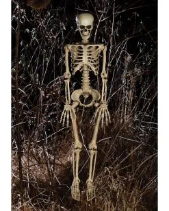 Bewegliches Knochenskelett 90cm -Karneval Universe Geschaft positionierbares knochenskelett halloween deko skelett mit beweglichen gelenken halloween und horror deko 52003 2