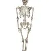 Lebensgroßes Skelett 200 Cm 2 Lebensgroßes Skelett 200 Cm -Karneval Universe Geschaft riesen skelett halloween figur realistisches skelett in geisterbahnqualitaet halloween deko 36033 01