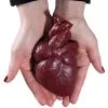 Realistisches Menschenherz Aus Gelatine 2 Realistisches Menschenherz Aus Gelatine -Karneval Universe Geschaft schneidbares menschenherz aus gelatine sliceable human heart made of gelatin halloween deko 52573 01