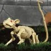 Ratten Skelett 20cm 2 Ratten Skelett 20cm -Karneval Universe Geschaft skelett ratte 20cm ungeziefer dekoration knochengerippe halloween deko skeleton rat 35974