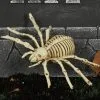 Spinnen Skelett 24cm 1 Spinnen Skelett 24cm -Karneval Universe Geschaft skelett spinne 24cm ungeziefer dekoration knochengerippe halloween deko skeleton spider 35975